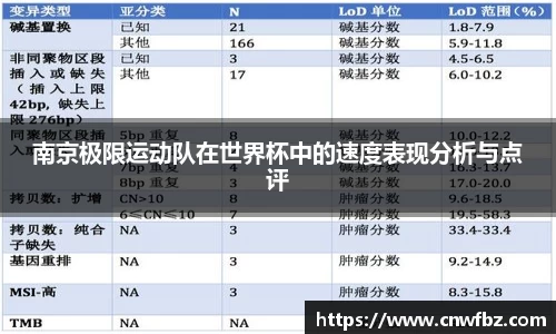 南京极限运动队在世界杯中的速度表现分析与点评