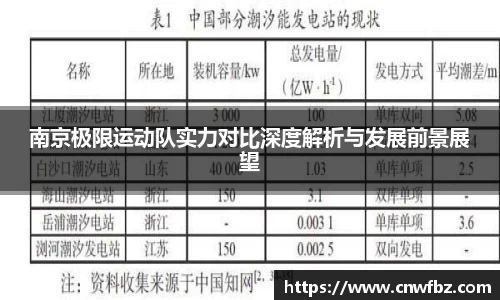 南京极限运动队实力对比深度解析与发展前景展望