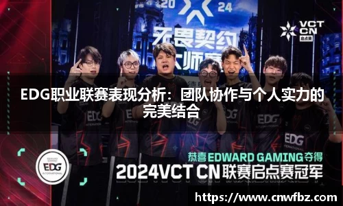 EDG职业联赛表现分析：团队协作与个人实力的完美结合